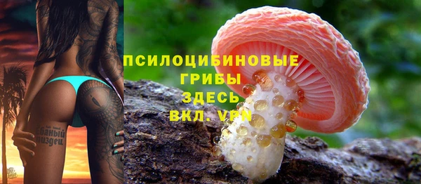 амфетамин Алексеевка