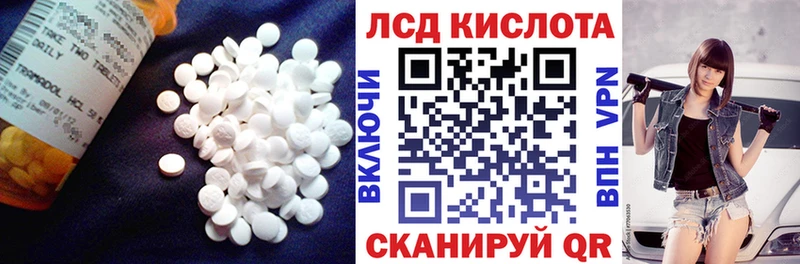 где купить наркотик  Оса  LSD-25 экстази кислота 